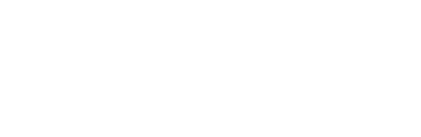 Anthony Bear